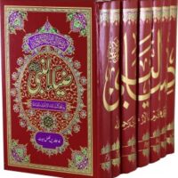 ZIA UL NABI - 7 VOLUMES COMPLETE SET                                                                                                                                                         ضیاء النبی - 7 جلدیں مکمل