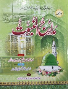 MADARAJ UL NABUWAT (3 VOL)