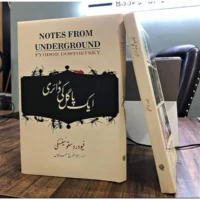 AIK PAGAL KI DIARY