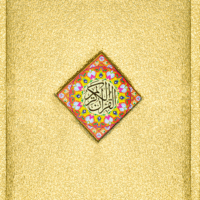 Holy Quran Tajveedi Hafzi      230/PS-