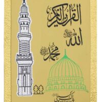 Holy Quran Tajveedi Hafzi   230/M