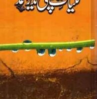 KULYAT DEPUTY NAZIR AHMED                                                                                                                                                            کلیات ڈپٹی نذیر احمد