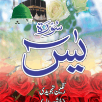 Surah Yaseen Tajweedi   Y/453T