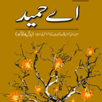 MAJMUA A HAMEED : MANZIL MANZIL ETC                                         مجموعہ اے حمید: منزل منزل