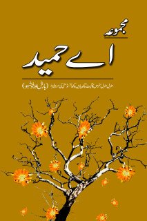 MAJMUA A HAMEED : MANZIL MANZIL ETC                                         مجموعہ اے حمید: منزل منزل