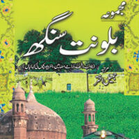 MAJMUA BALWANT SINGH (NOVELET AFSANAY DRAMAY)مجموعہ بلونت سنگھ ناولٹ، افسانے، ڈرامے