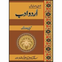 Besveen Sadi Mein Urdu Adab