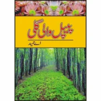 Peepal Wali Galee